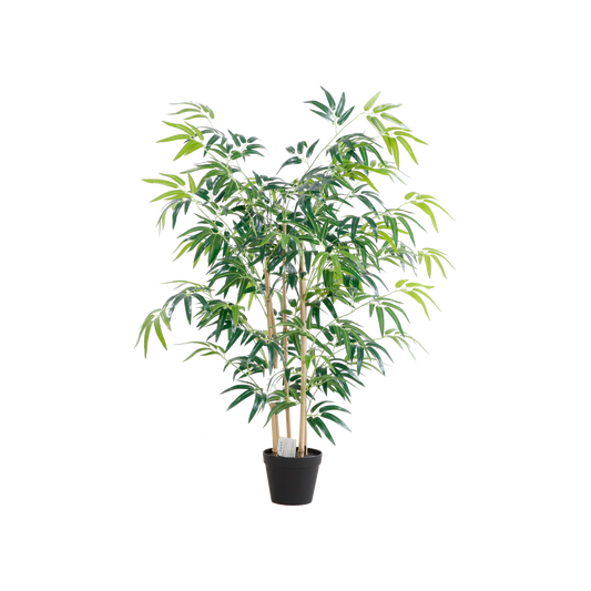 KA0068-Bamboo-H120cm