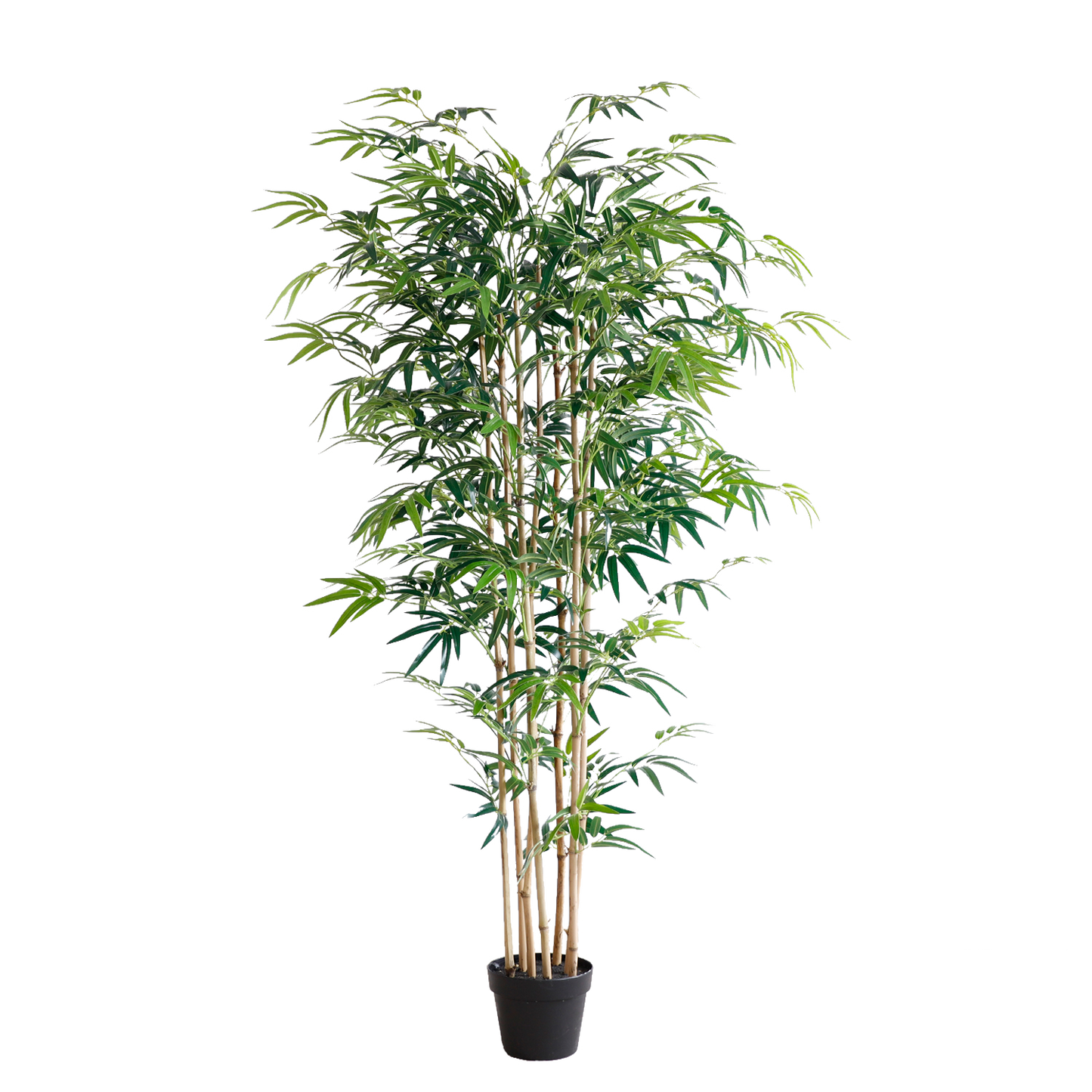 KA0069-Bamboo-H180cm