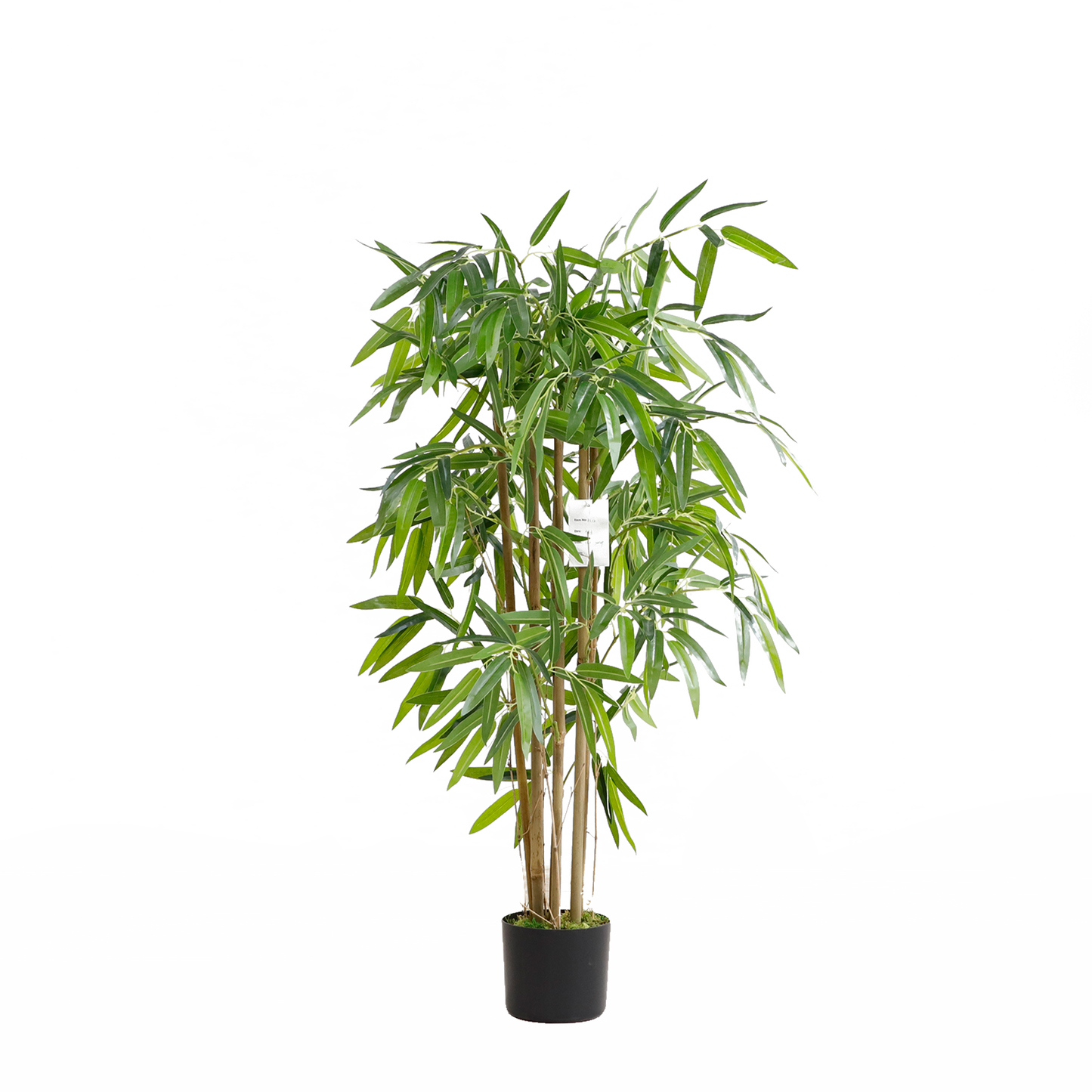 KA0073-Bamboo-H120cm