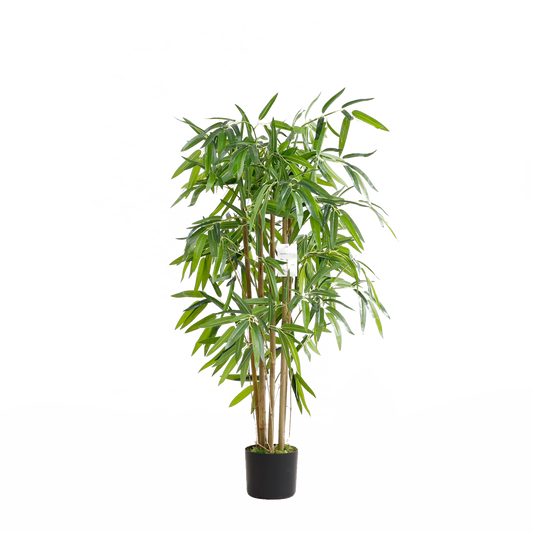 KA0073-Bamboo-H120cm