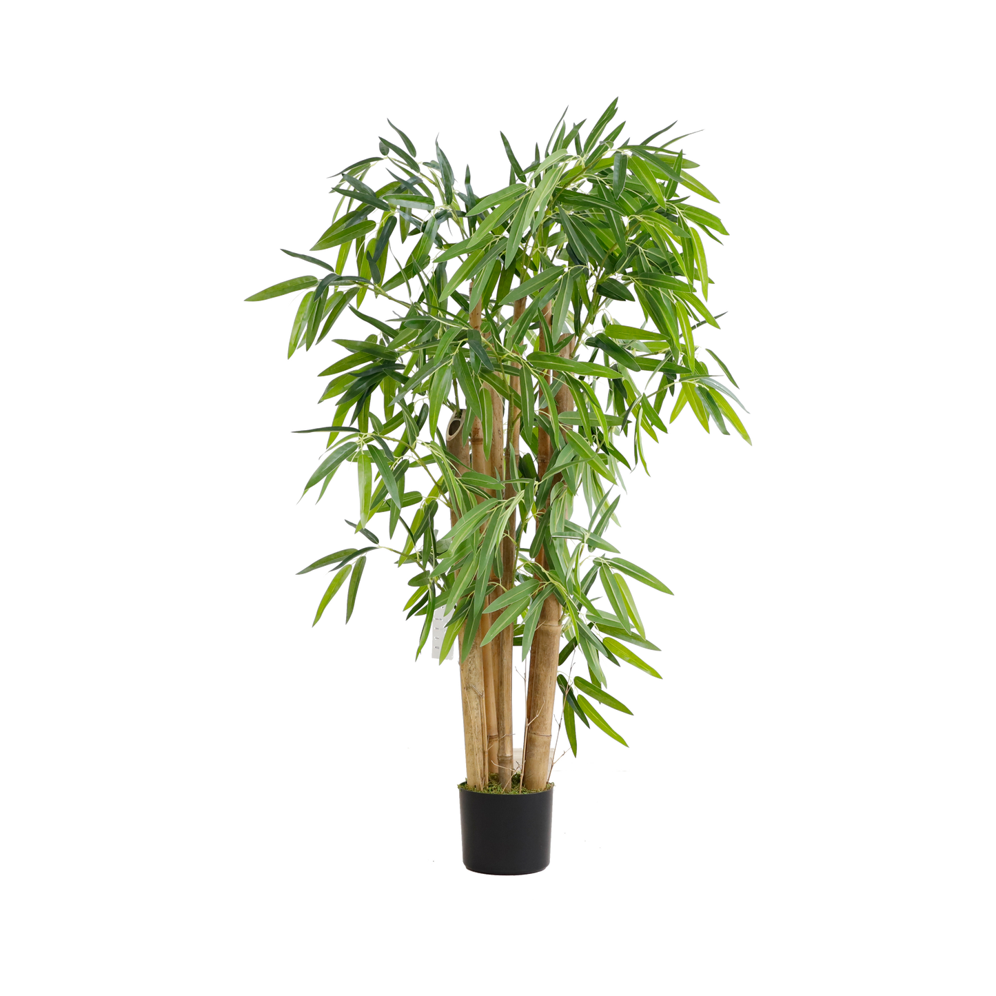 KA0074-Bamboo-H120cm