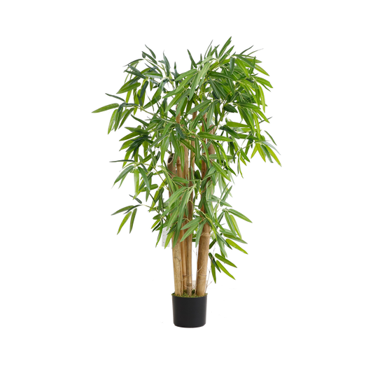 KA0074-Bamboo-H120cm