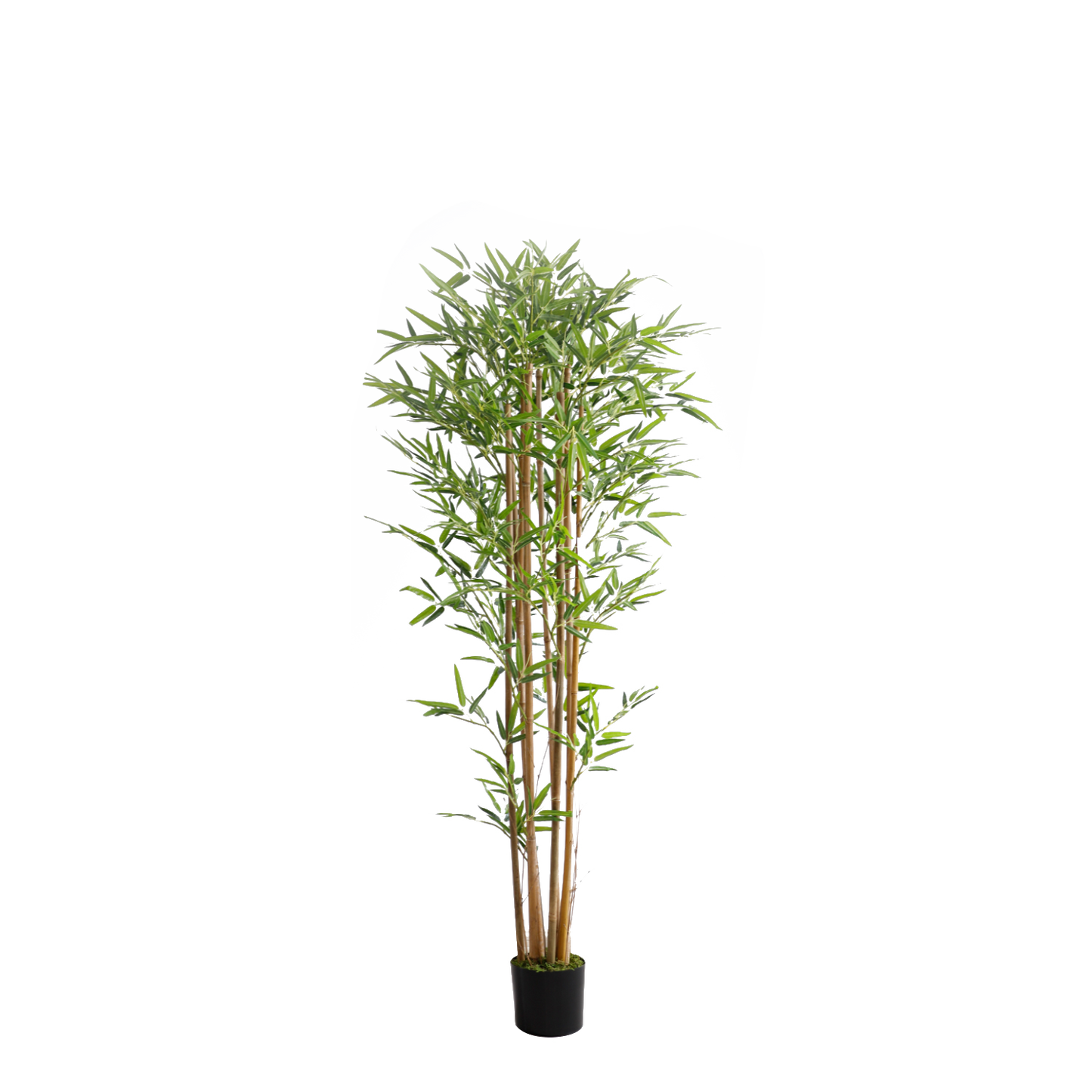 KA0075-Bamboo-H180cm