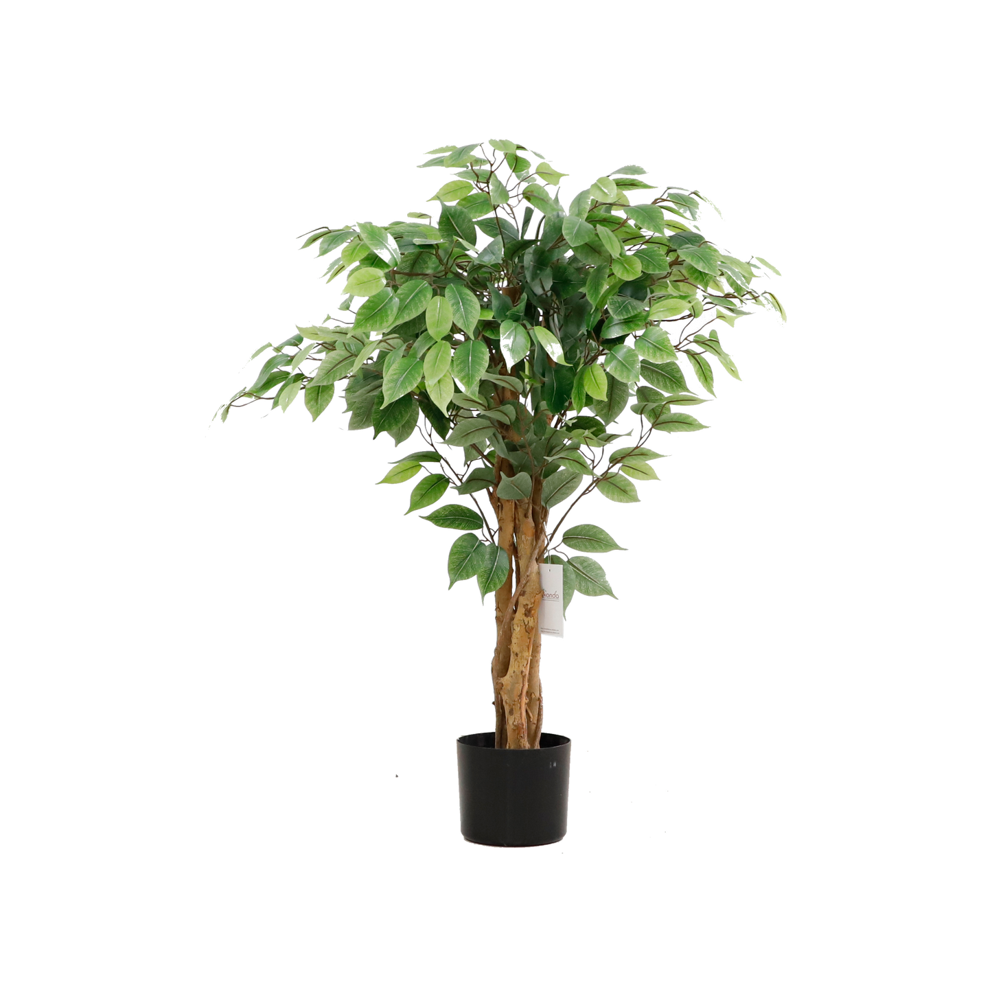 KA0077-Ficus tree-H90cm