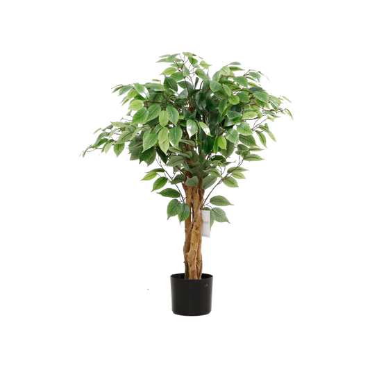 KA0077-Ficus tree-H90cm