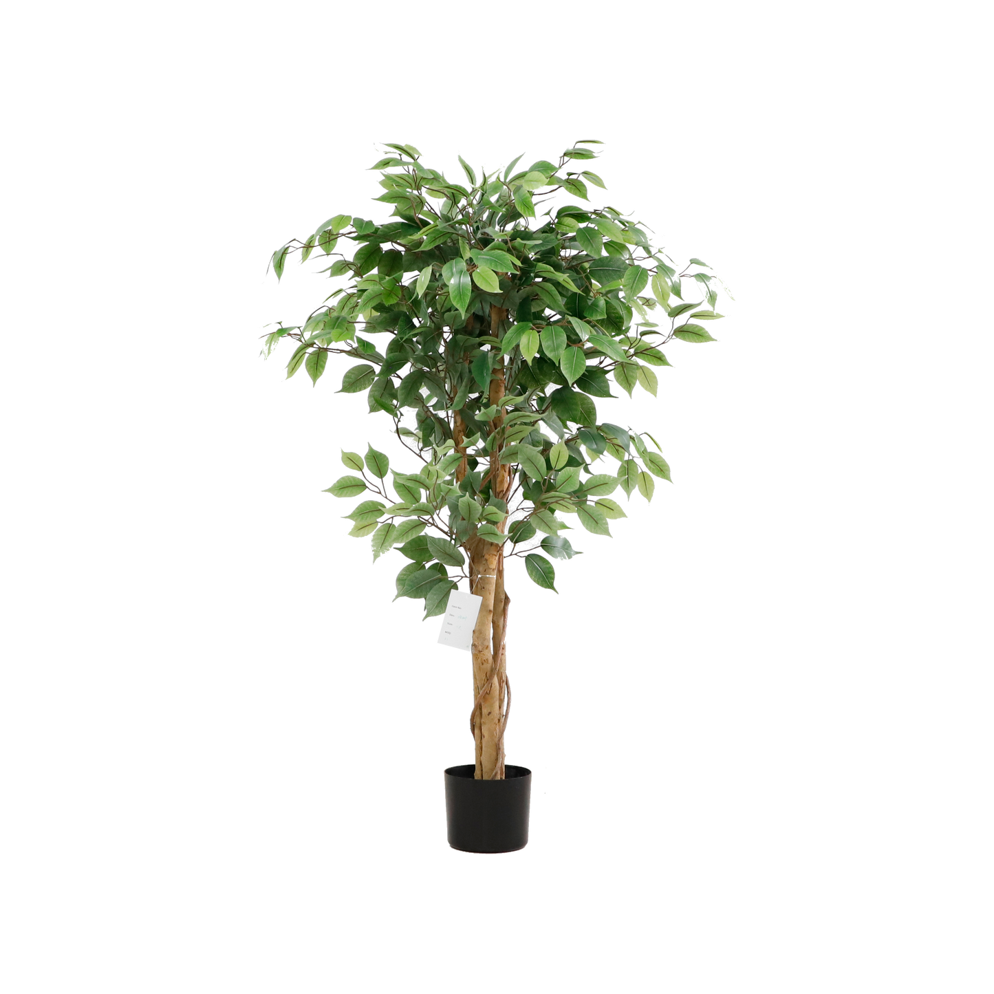 KA0078-Ficus tree-H120cm