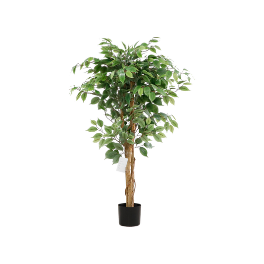 KA0078-Ficus tree-H120cm