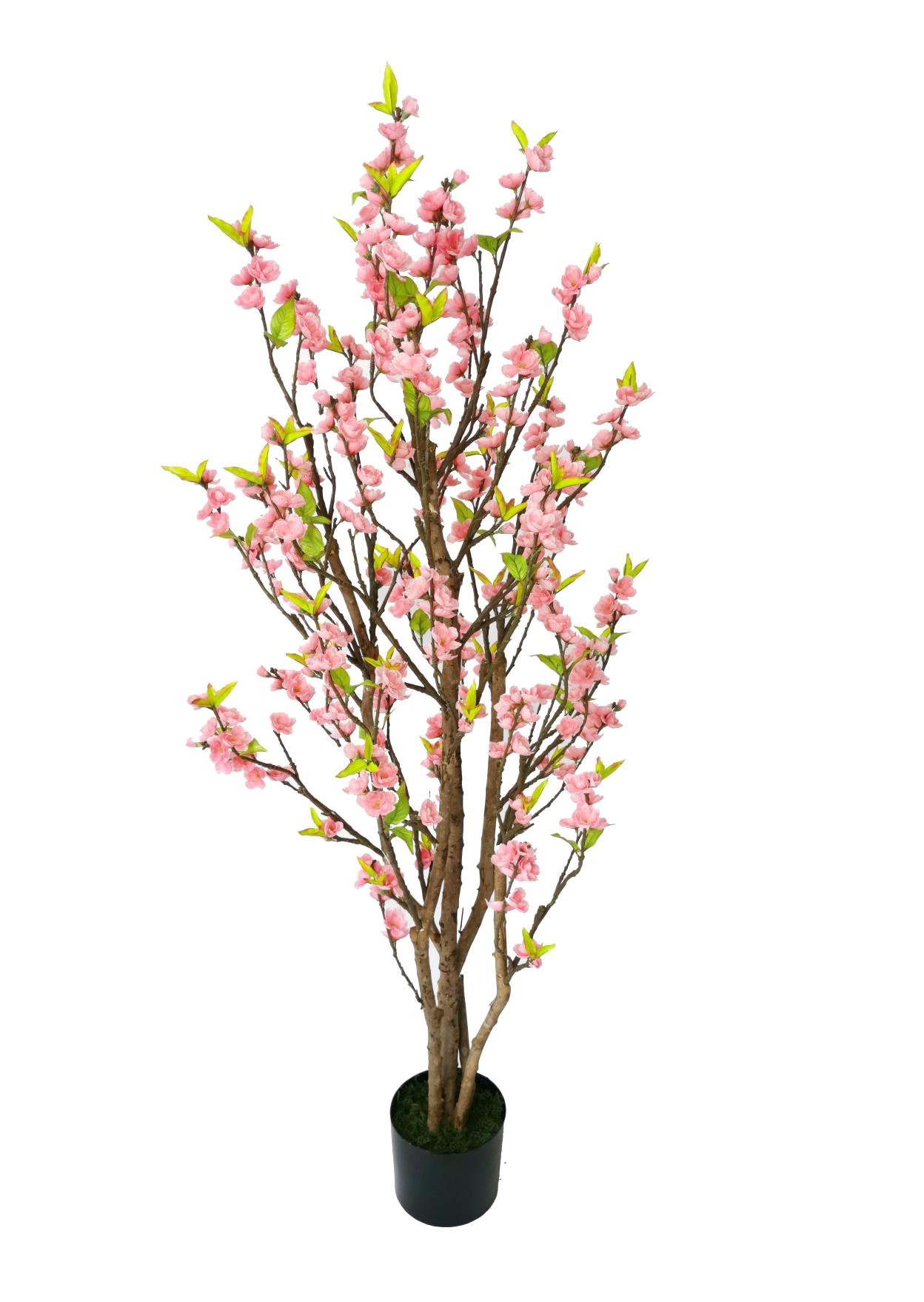 KA0085-Cherry blossom tree-H150cm