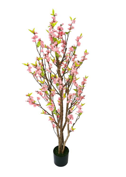 KA0085-Cherry blossom tree-H150cm