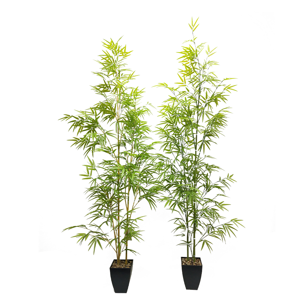 KA0088-Bamboo-H175cm