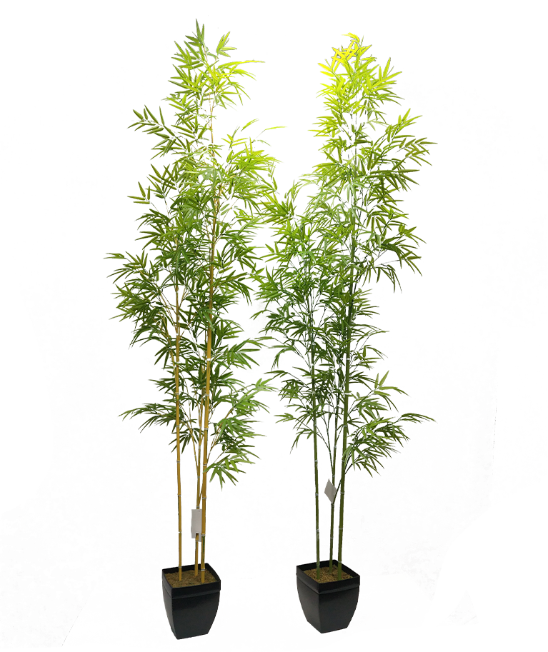 KA0089-Bamboo-H220cm