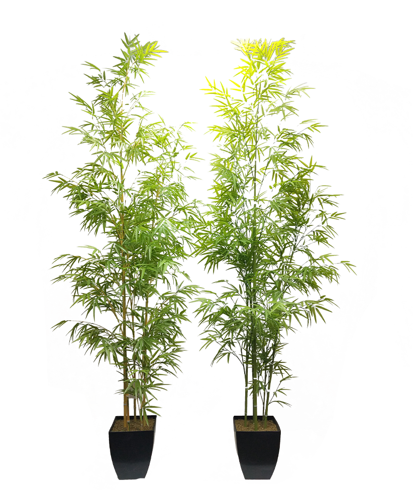 KA0090-Bamboo-H220cm