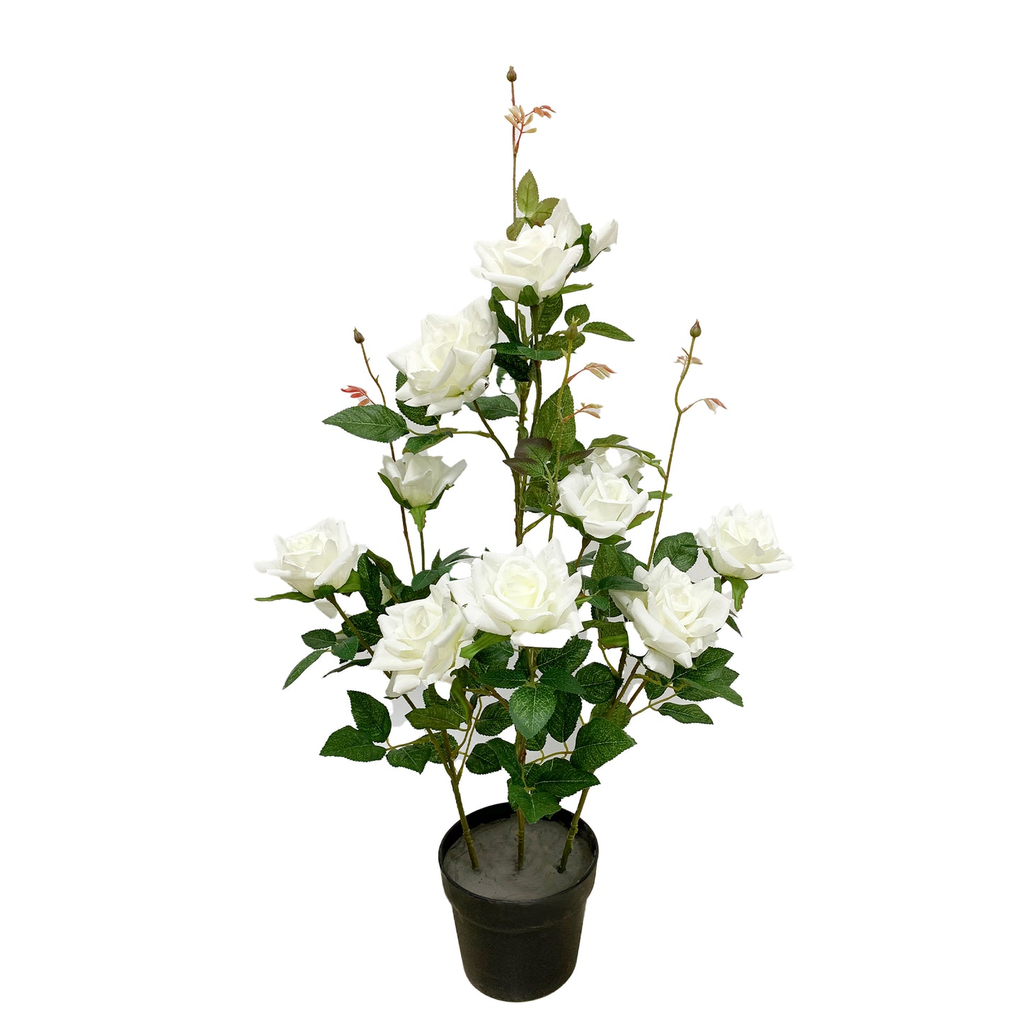 KA0132 Rose-tree 80cm