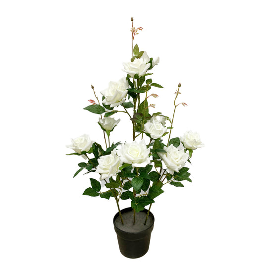 KA0132 Rose-tree 80cm