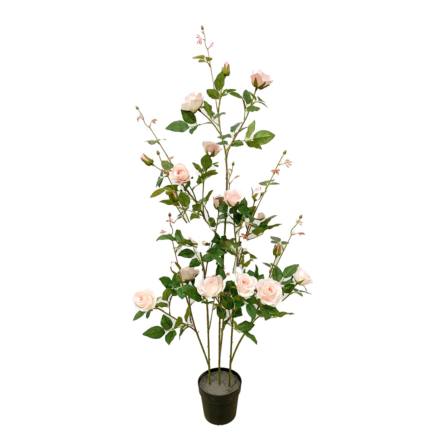 KA0133 Rose-tree H130cm