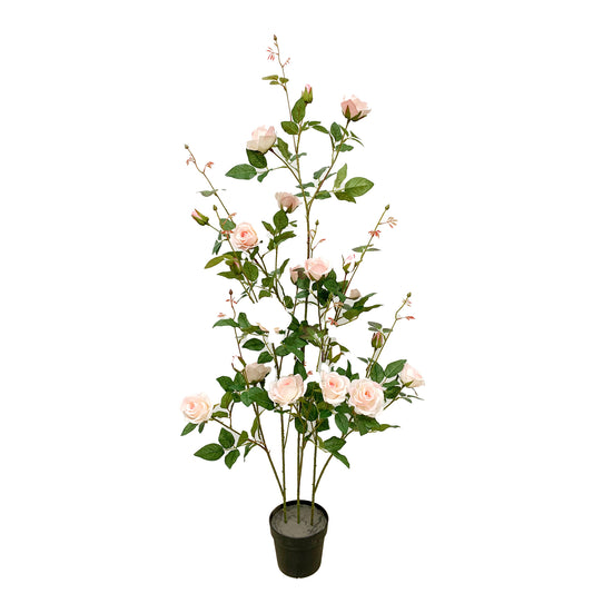 KA0133 Rose-tree H130cm