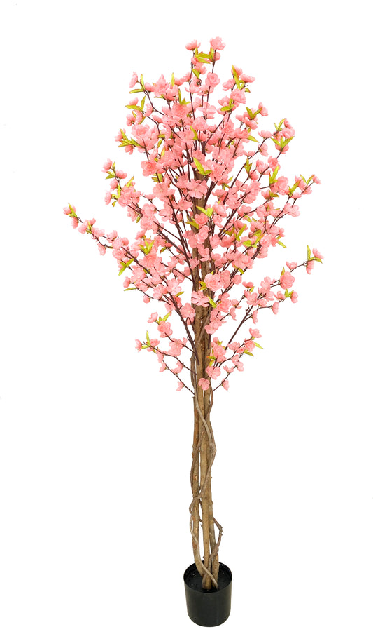KA0411 Peach tree H180cm