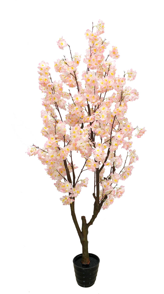 KA0414 Cherry blossom tree H180cm