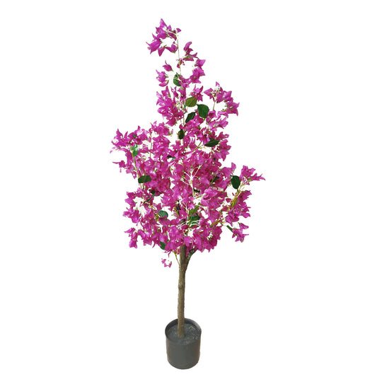 KA0416 Bougainvillea H120cm
