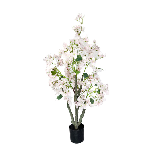 KA0418 Bougainvillea H90cm