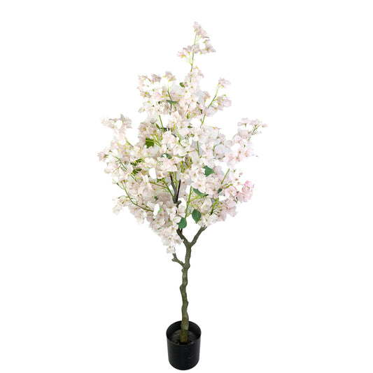 KA0419 Bougainvillea H150cm