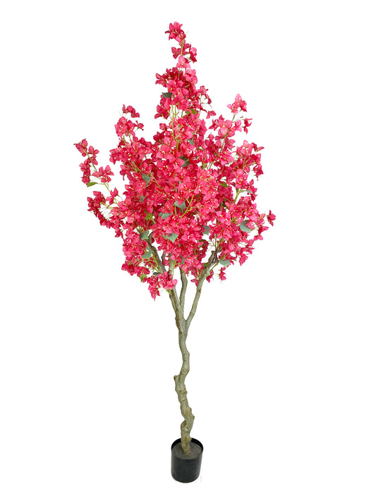 KA0421 Bougainvillea H210cm