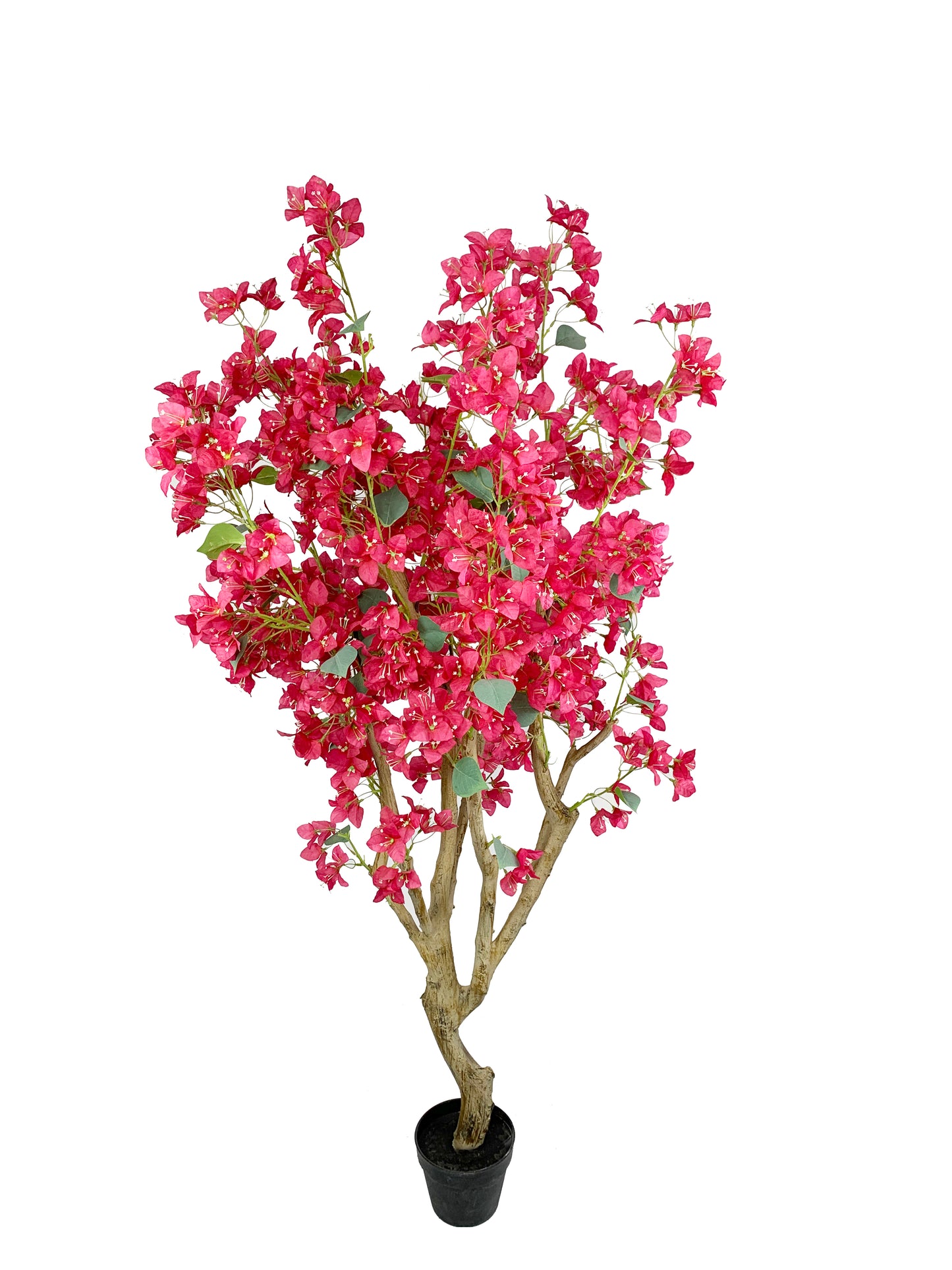 KA0422 Bougainvillea H170cm