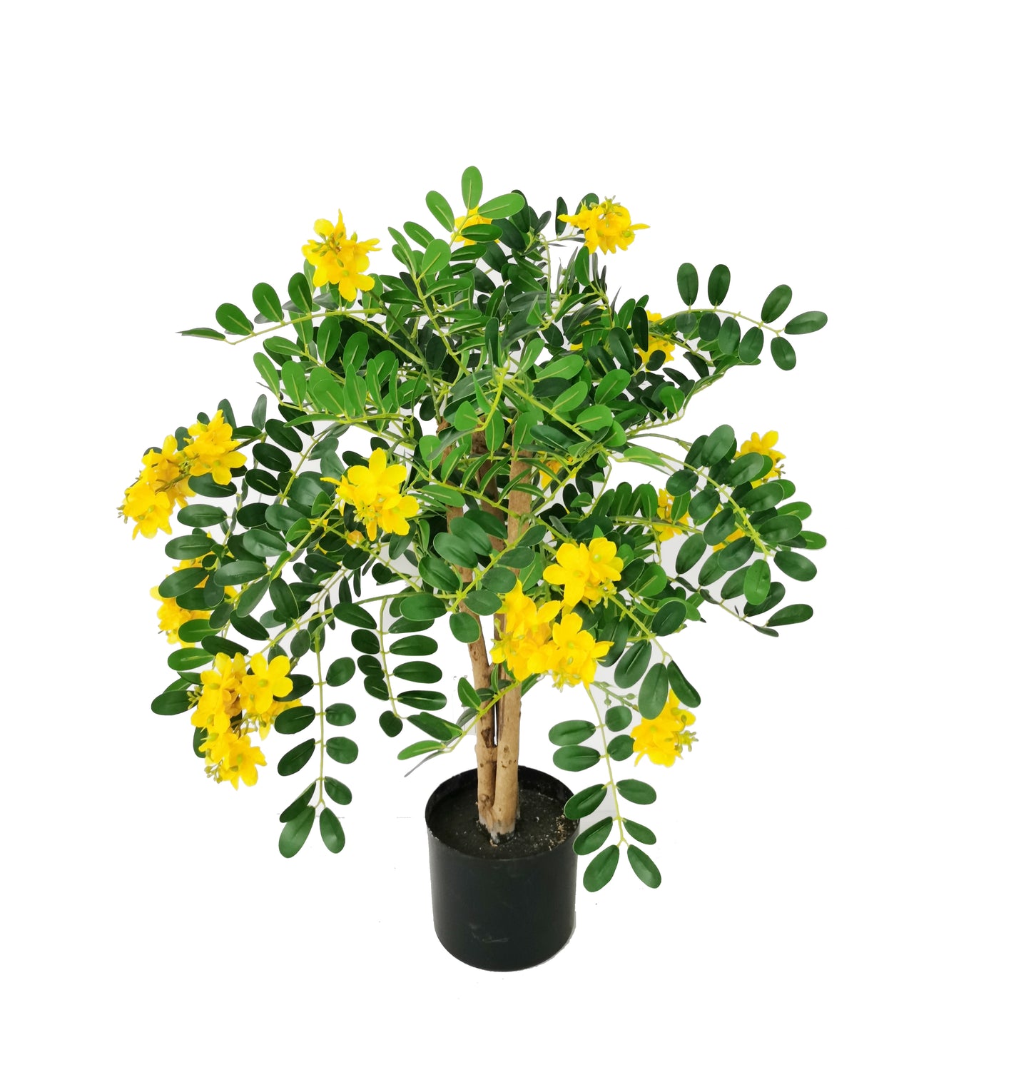 KA0426 Sophora flower tree H60cm