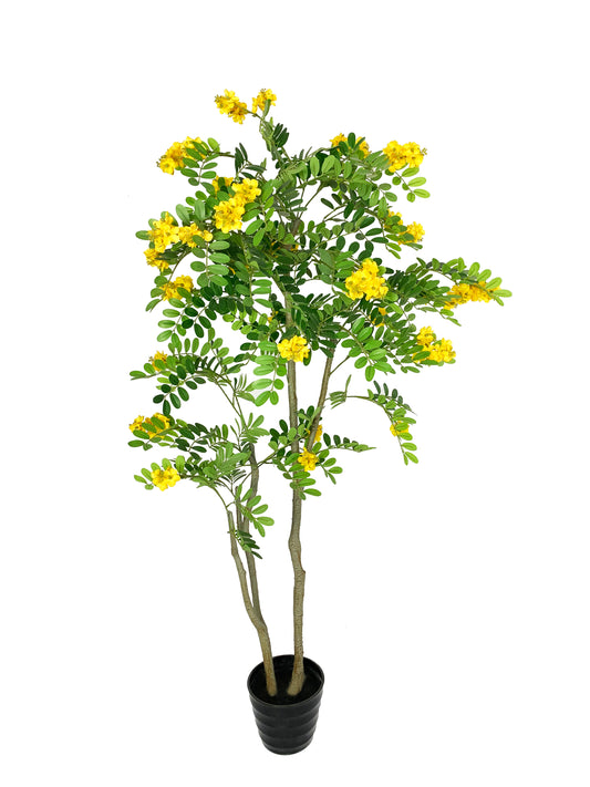 KA0427 Sophora flower tree H150cm