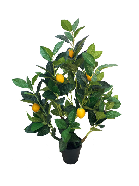 KA0445 Lemon tree H70cm