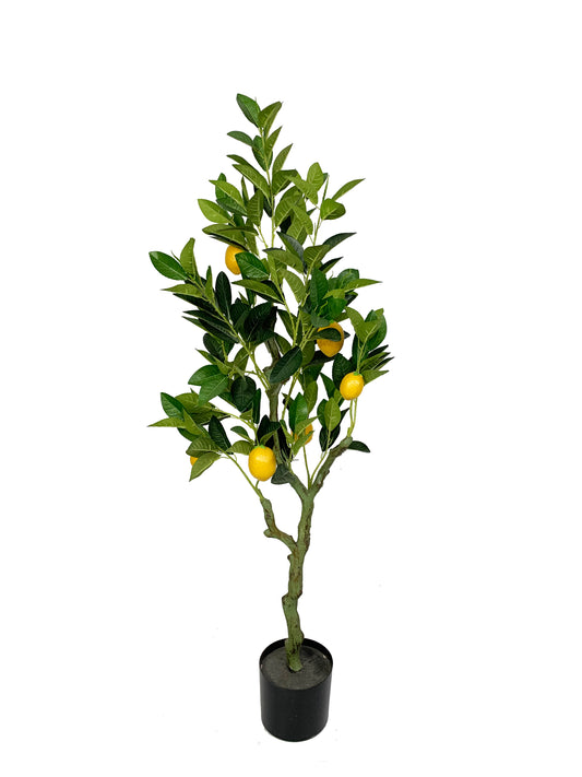 KA0446 Lemon tree H120cm