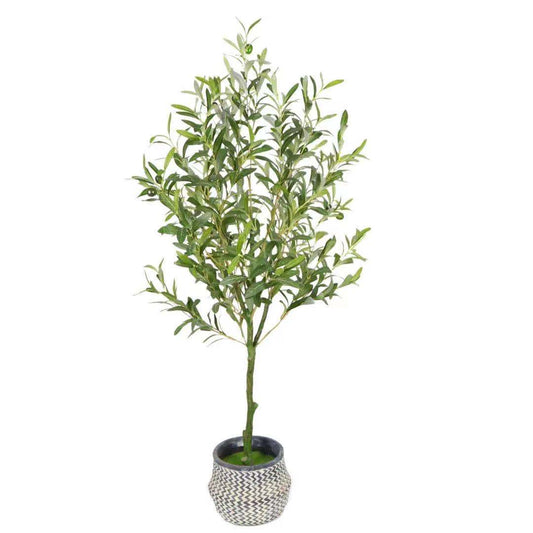 KA0460 Olive tree H120cm