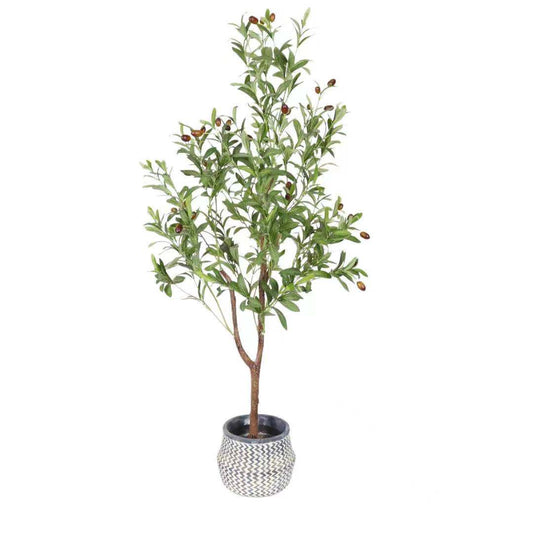 KA0461 Olive tree H120cm