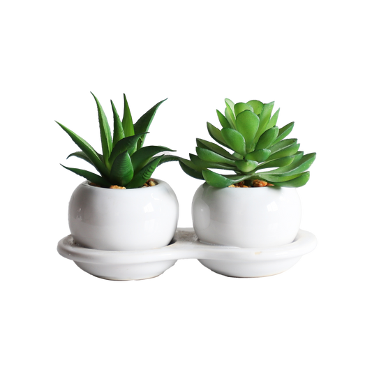 KA818A18-Artificial succulents in art pot-16x8x10cm