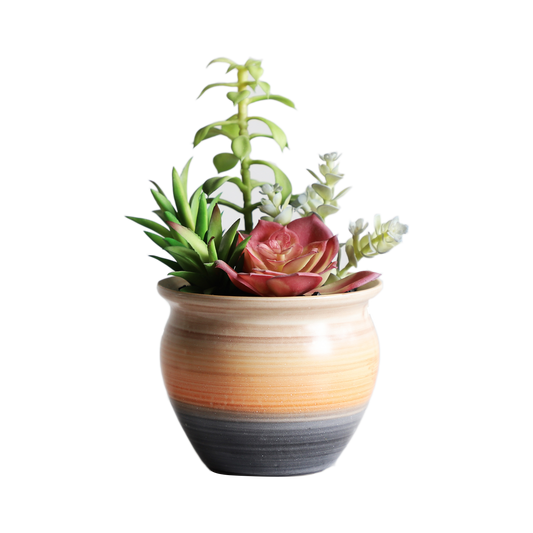 KA818A19-Artificial succulents in art pot-12x12x20cm