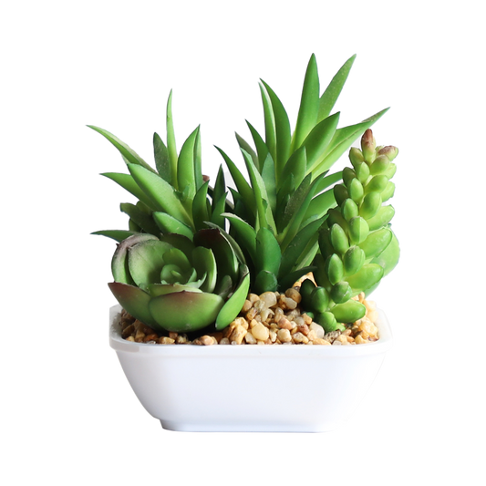 KA818A20-Artificial succulents in art pot-10x10x10cm