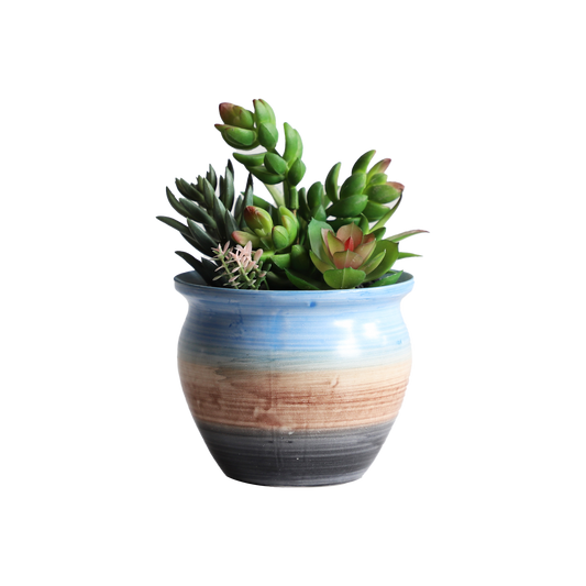 KA818A21-Artificial succulents in art pot-12x12x17cm