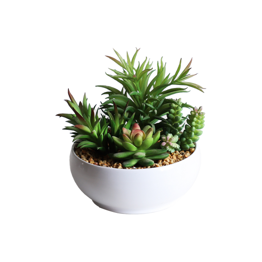KA818A23-Artificial succulents in art pot-16x16x18cm