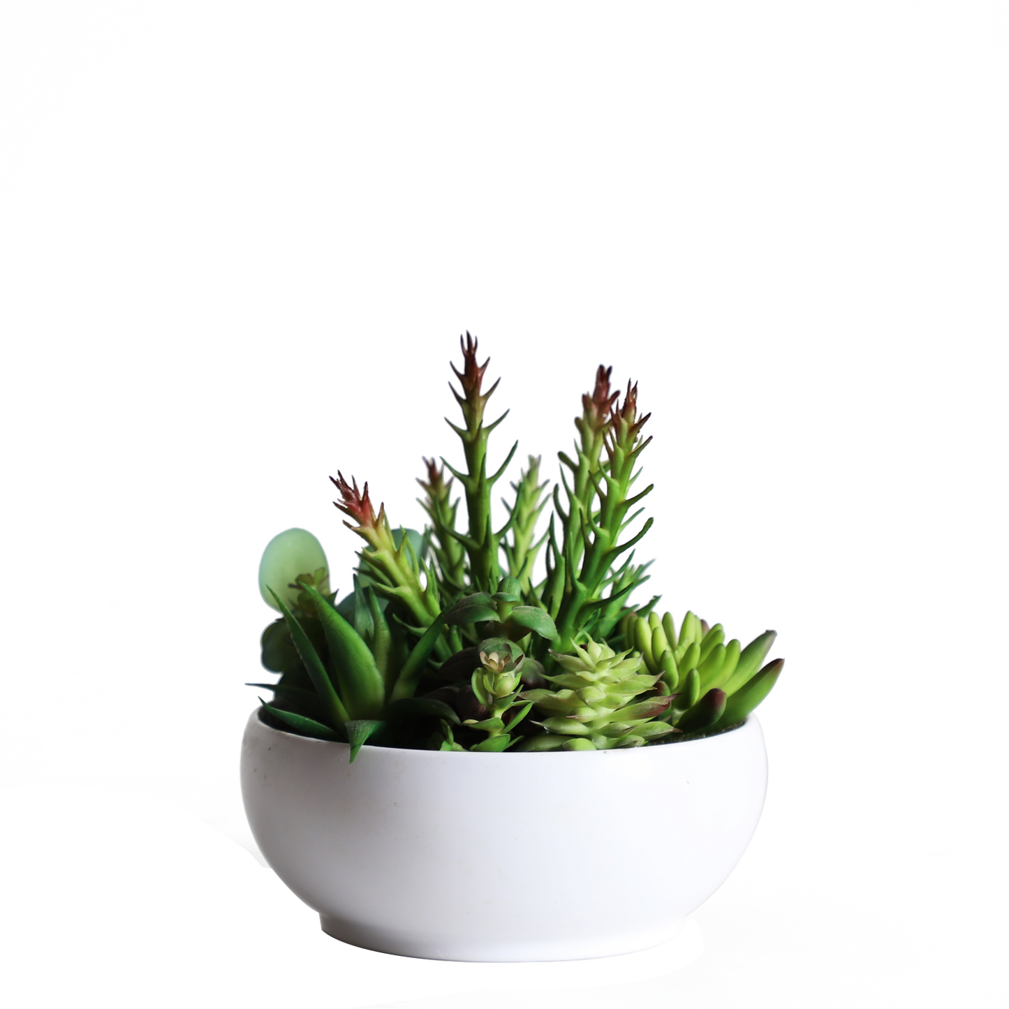 KA818A24-Artificial succulents in art pot-16x16x18cm