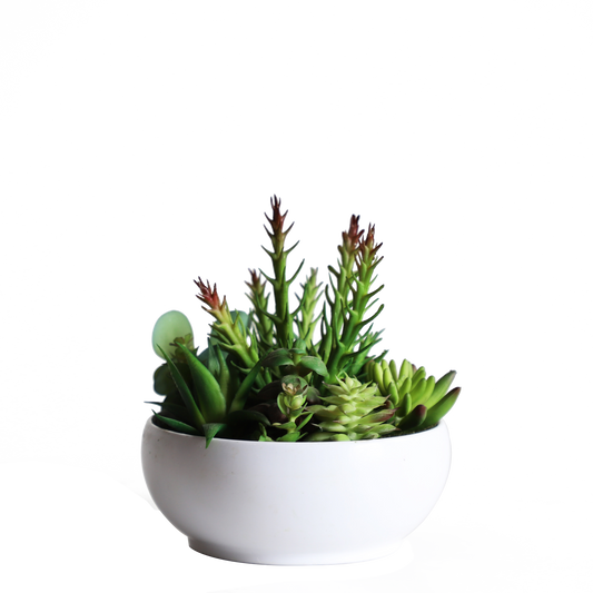 KA818A24-Artificial succulents in art pot-16x16x18cm