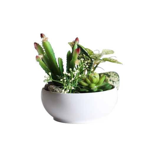 KA818A25-Artificial succulents in art pot-16x16x18cm