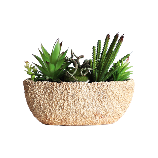 KA818A36-Artificial succulents in art pot-26x11x22cm