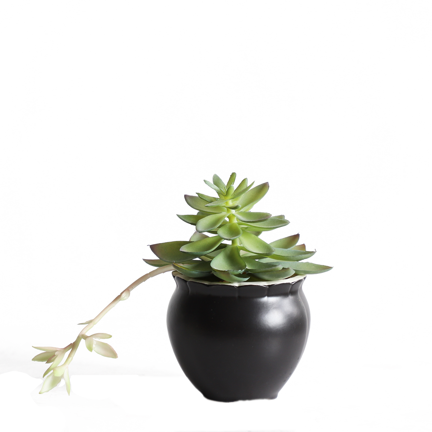 KA818A38-Artificial succulents in art pot-10x10x16cm