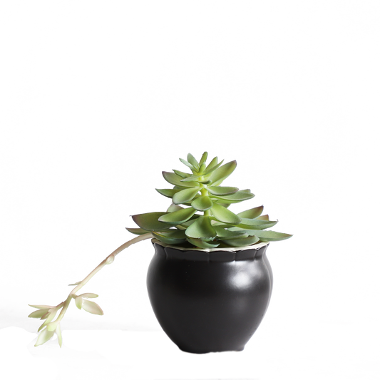 KA818A38-Artificial succulents in art pot-10x10x16cm