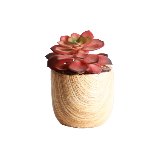 KA818A43-Artificial succulents in art pot-10x10x14cm