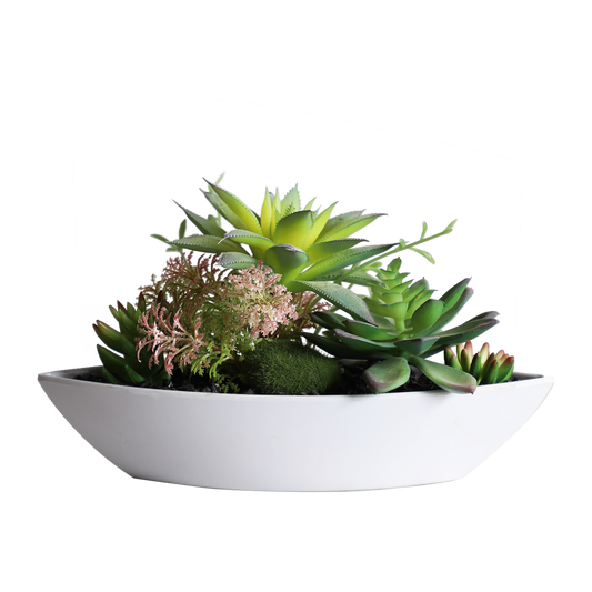 KA818A46-Artificial succulents in art pot-26x14x14cm
