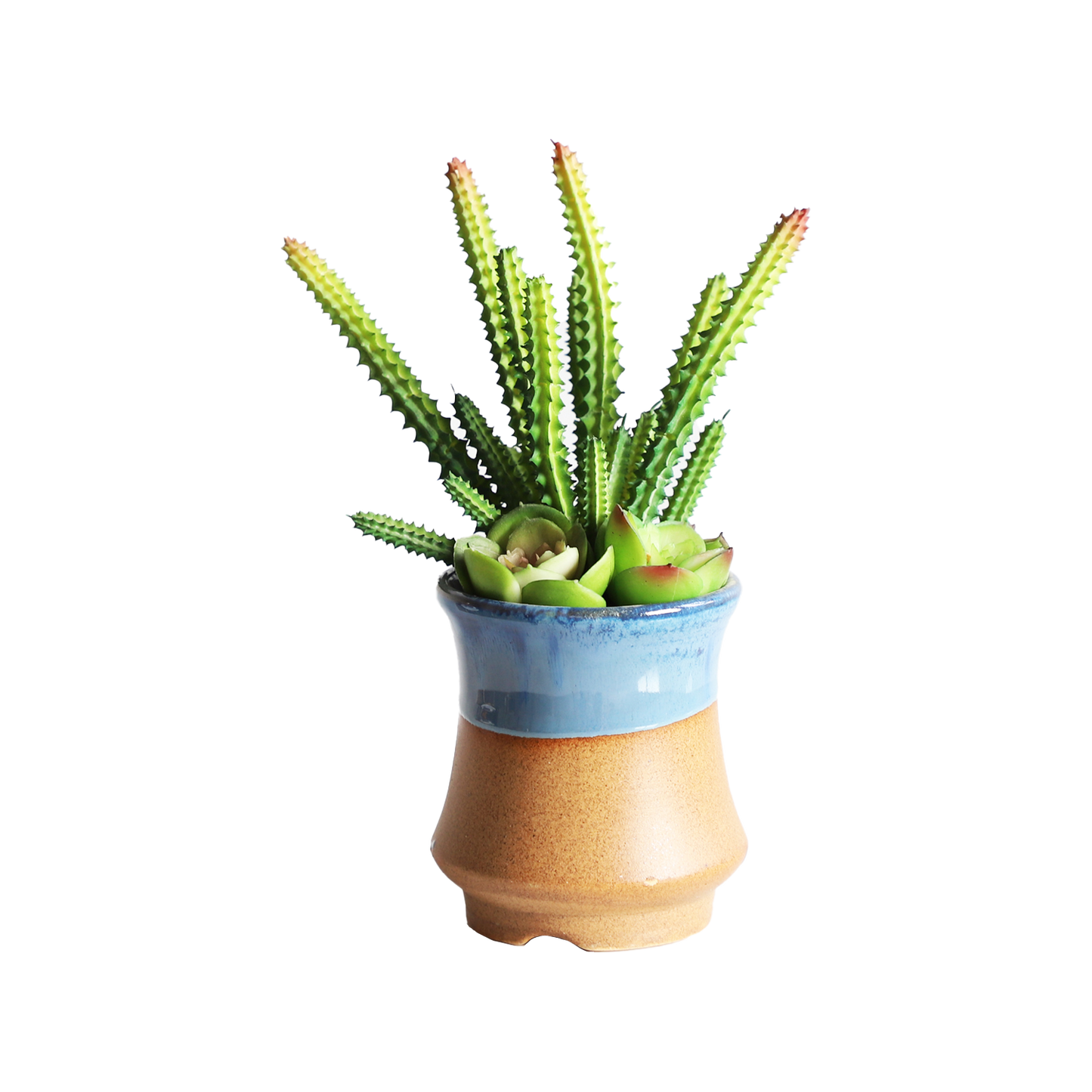 KA818A49-Artificial succulents in art pot-9x9x20cm