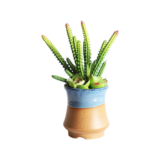 KA818A49-Artificial succulents in art pot-9x9x20cm