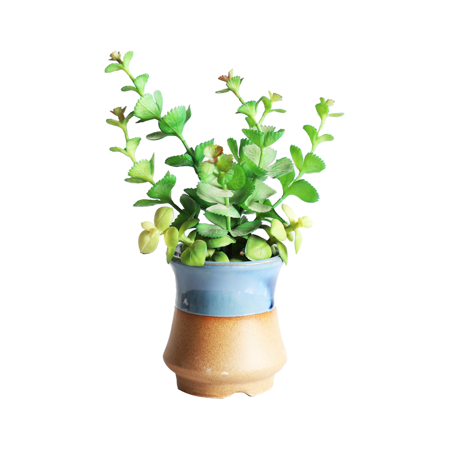 KA818A50-Artificial succulents in art pot-9x9x22cm