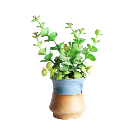 KA818A50-Artificial succulents in art pot-9x9x22cm